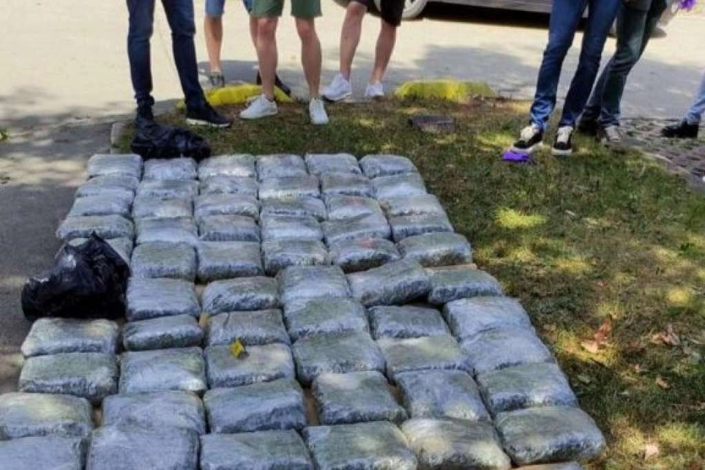 Jednomjesečni pritvor Nihadu Bjelaku kod kojeg je zaplijenjeno 73 kilograma droge